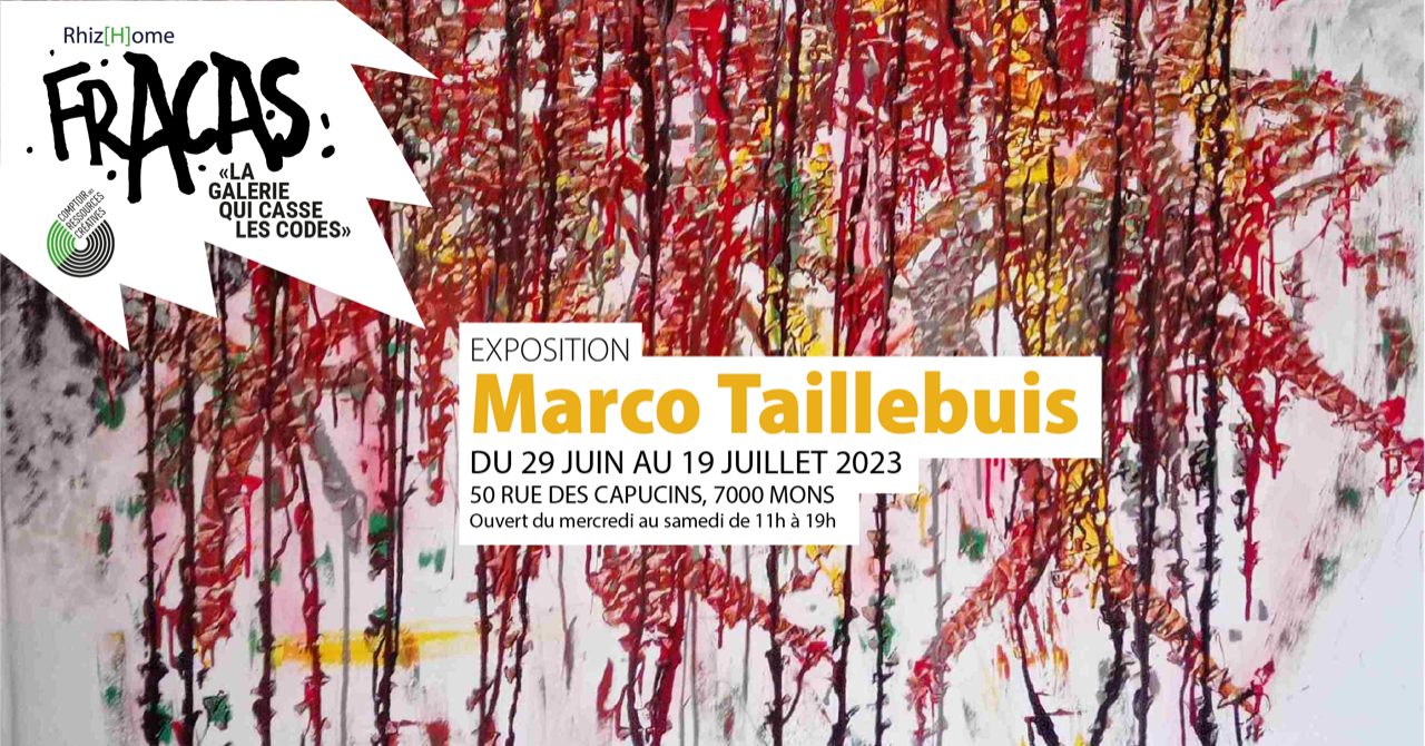 Exposition — Marco Taillebuis