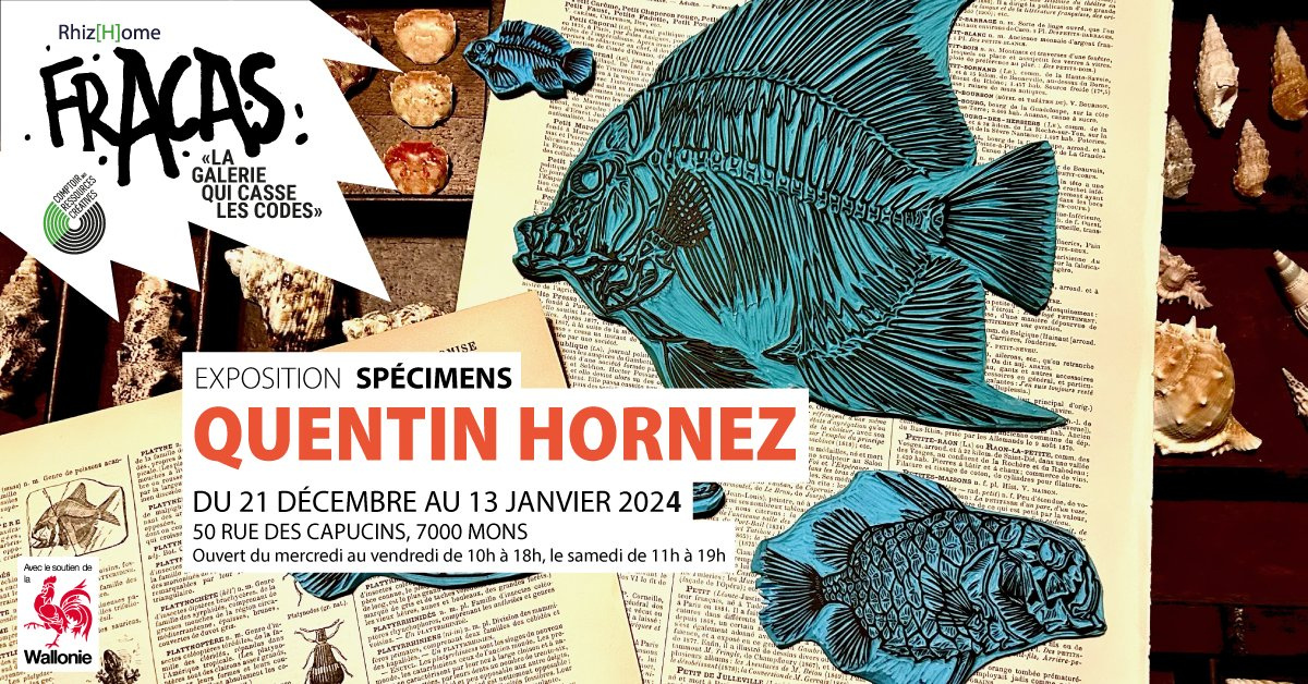 Spécimens — Quentin Hornez
