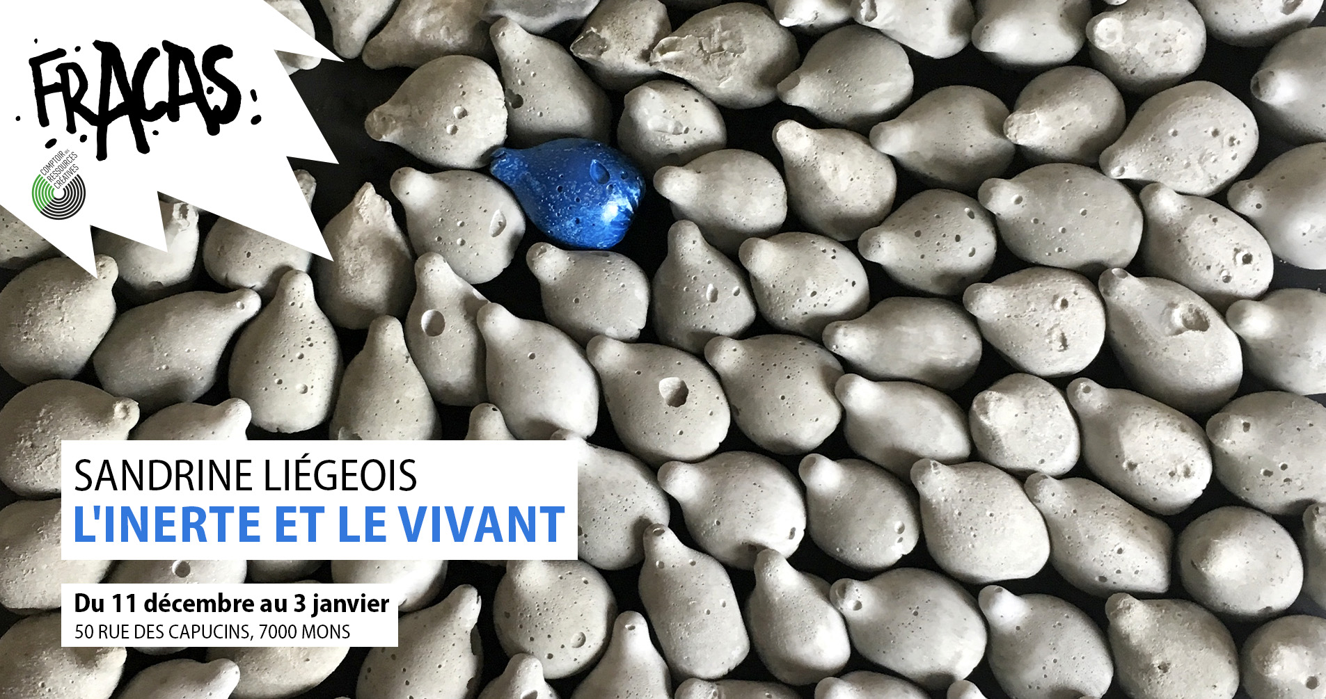 L'Inerte et le Vivant — Sandrine Liégeois